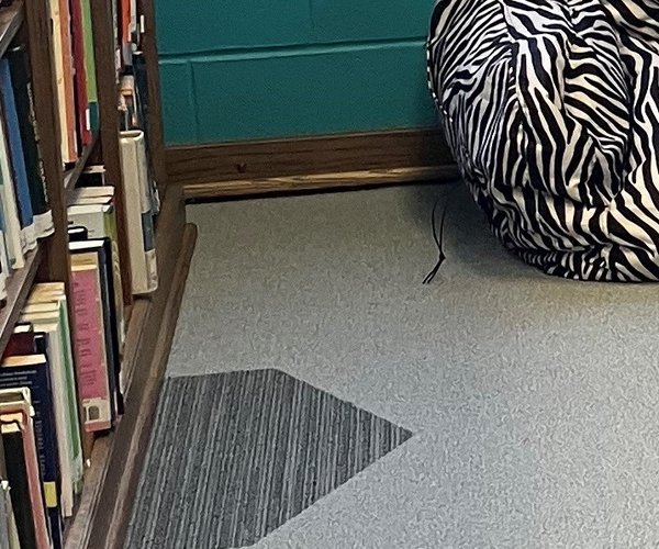 new_lgp_larabeelibrarynewspic