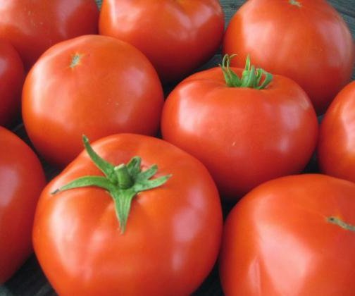 loc_lgp_myerscolumnpic