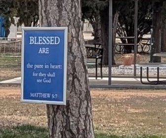 chu_lgp_lentonlunchpic