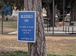 chu_lgp_lentonlunchpic