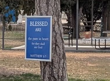 chu_lgp_lentonlunchpic