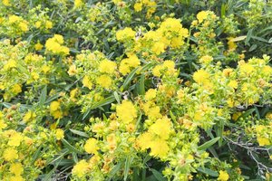 loc_lgp_myerscolumnpic