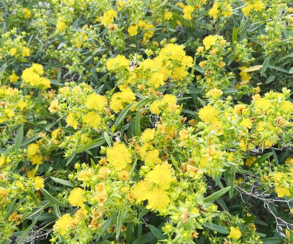 loc_lgp_myerscolumnpic