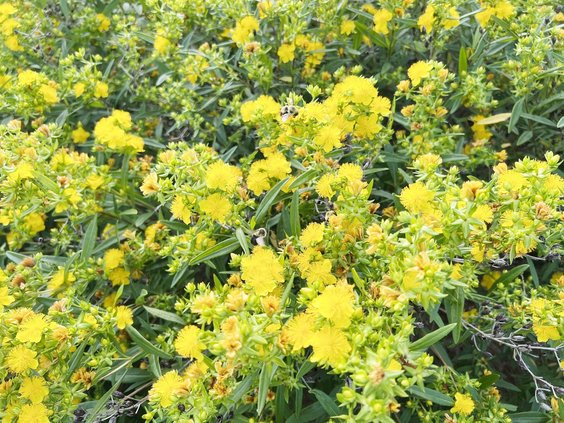 loc_lgp_myerscolumnpic