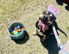 new_lgp_pawesomeeasteregghuntpic