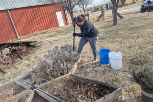 soil prep by veronic