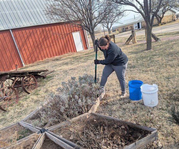 soil prep by veronic