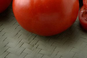 loc_lgp_myerscolumnpic