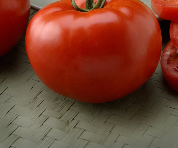 loc_lgp_myerscolumnpic