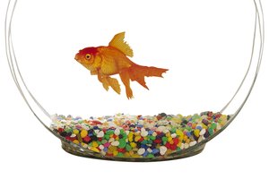 Here's your 'Viewpoint' on A.I.