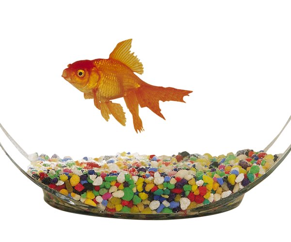 Here's your 'Viewpoint' on A.I.