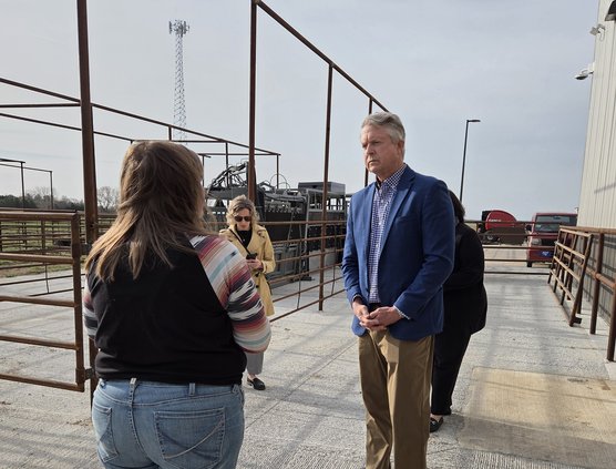 marshall at bcc stock pens