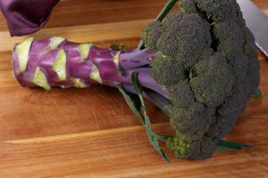 loc_lgp_myerscolumnpic