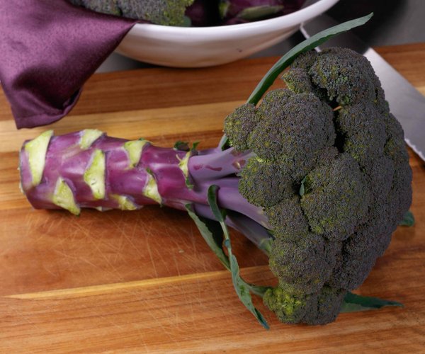 loc_lgp_myerscolumnpic