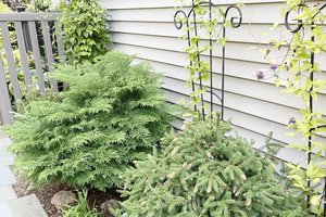 loc_lgp_myerscolumnpic