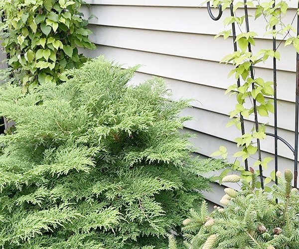 loc_lgp_myerscolumnpic