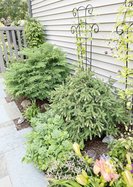 loc_lgp_myerscolumnpic