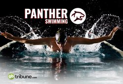 panther_swimming.jpg