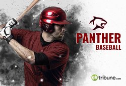 panther_baseball.jpg