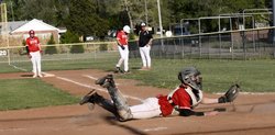 SPT_LF_ catcherDSC_67202.jpg