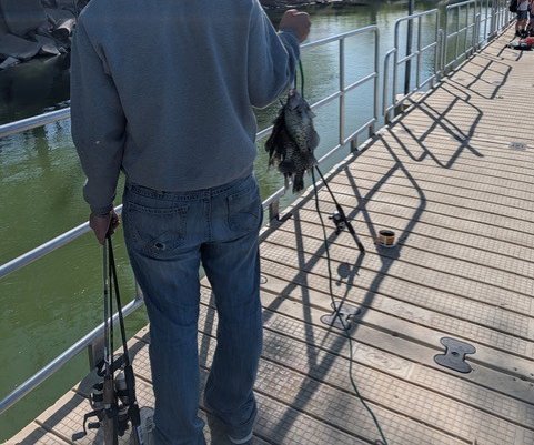 new_lgp_juvmentoringpic