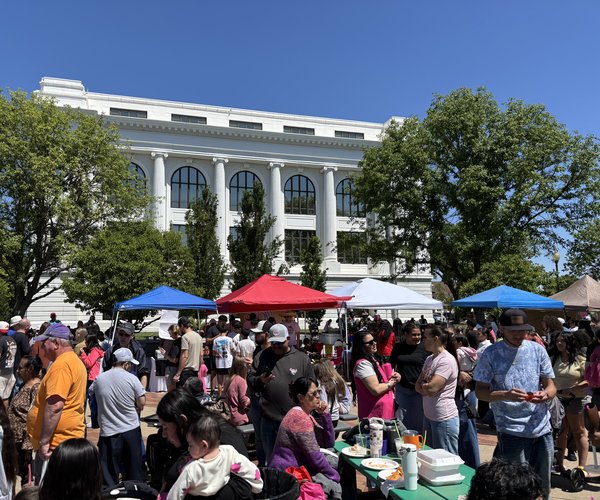 cinco festival 2026