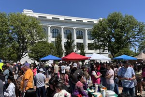 cinco festival 2026