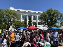 cinco festival 2026