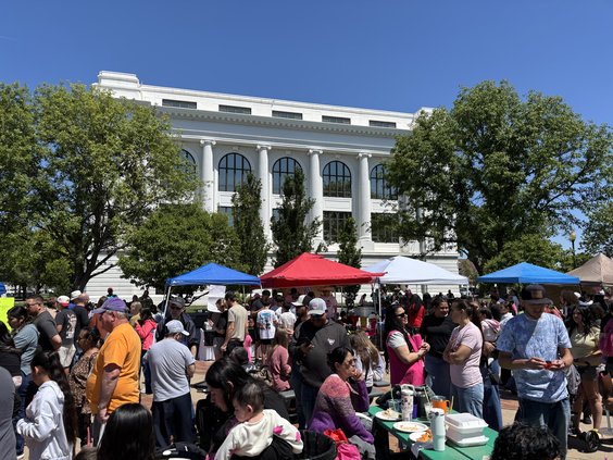cinco festival 2026
