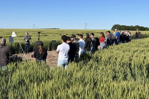 agri_lgp_campbellcolumnpic