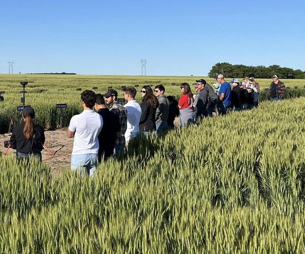agri_lgp_campbellcolumnpic