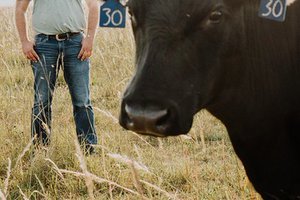 agri_lgp_insighteisenbarthpic