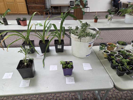 plant swap 2026