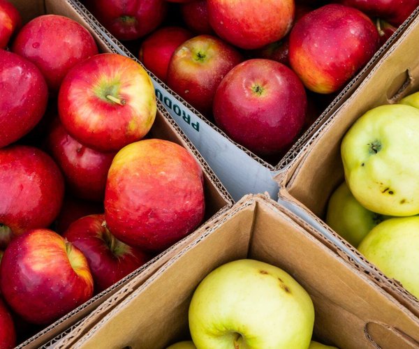Apples