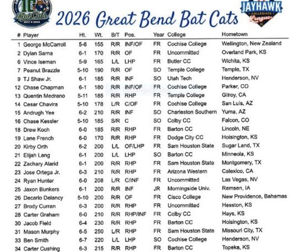 Bat cats