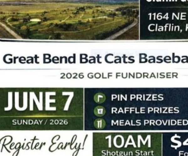 bat cats