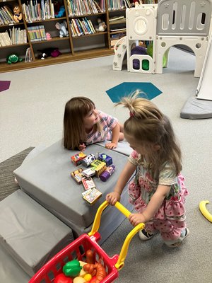 larabee little shoppers