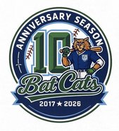 bat cats logo
