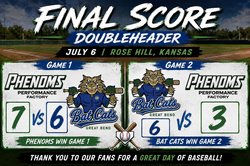 bat cats vs wichita
