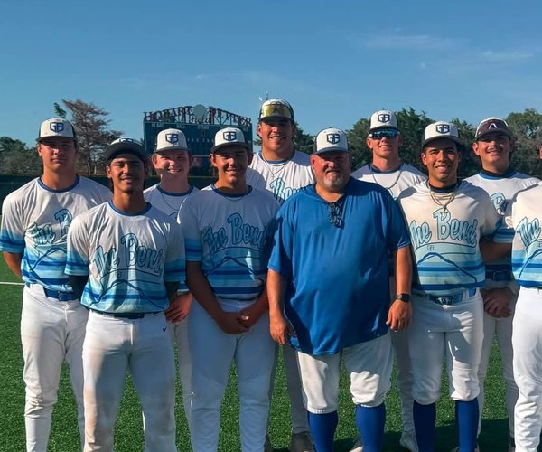 bat cats team