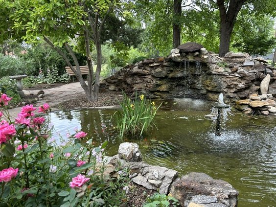 motherhouse fish pond
