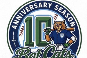 bat cats logo