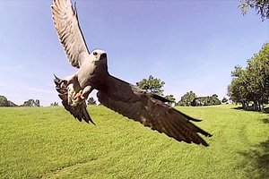 loc_lgp_tablerkitespic