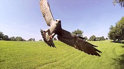 loc_lgp_tablerkitespic