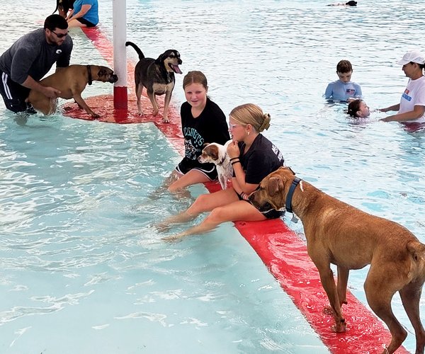 bark waterpark 2026