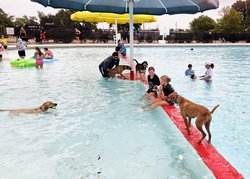 bark waterpark 2026
