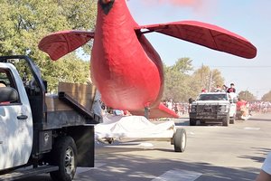 smoking cardinal