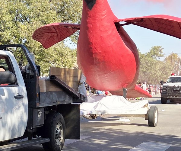 smoking cardinal