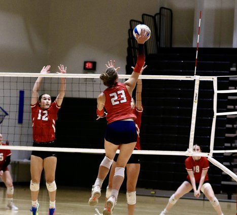 Brynn Widener