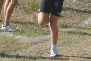 lashley1